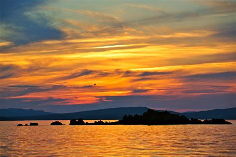 Godzilla Breaching To Checkout The Sunset Dildo Trinity Bay NL 3872 2592 OC R SkyPorn