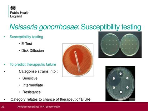 PPT - Antibiotic resistance in Neisseria gonorrhoeae PowerPoint ...