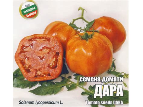 Домати Дара | МАГАЗИНИ.net