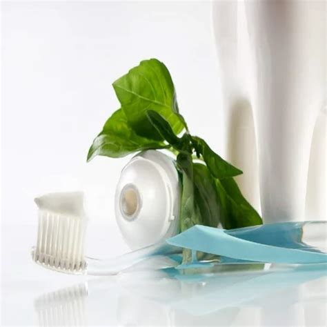 Herbal Toothpaste, Packaging Size: 50gm at ₹ 24/piece in Jaipur | ID ...