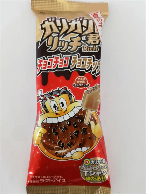 ガリガリ君「リッチ」チョコチョコチョコチップが美味しい。まだ食べた事のないあなたへ贈る全力のレビュー。 妄想力は無限大 別館