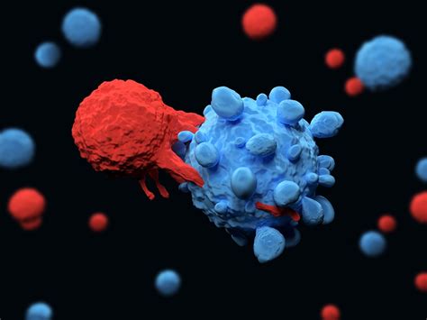 Study Finds First-Line Targeted Treatment for CLL Is Beneficial in ...