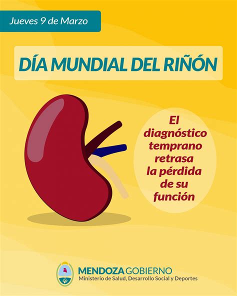 Día Mundial Del Riñón El Diagnóstico Temprano Retrasa La Pérdida De Su