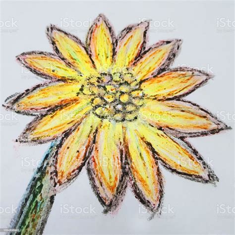 Flowers Hand Drawing By Crayons Stock Photo - Download Image Now - Art ...