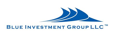 blue investment group llc real estate services  shoreline dr