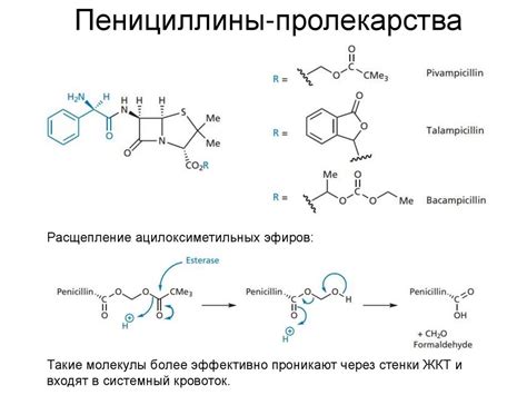 Антибактериальные лекарства - презентация онлайн
