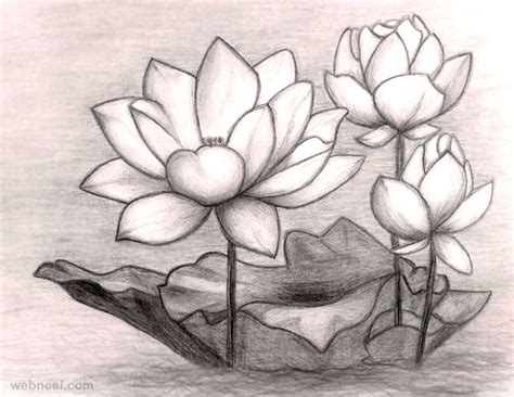 pencil shading flowers