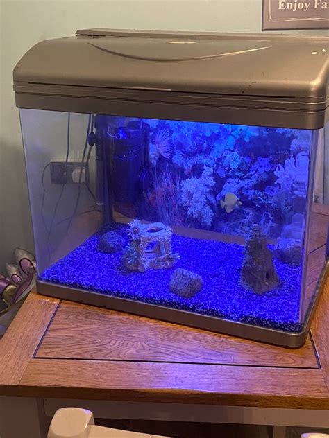 70l Fish Tank In Barry Vale Of Glamorgan Gumtree