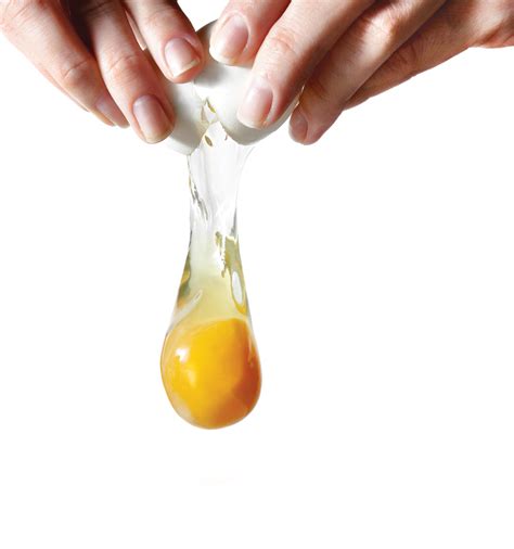 egg PNG