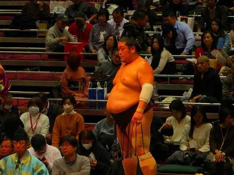 大相撲 令和6年3月場所 番付表【十両】8枚目：朝紅龍 獅司 志摩の海 碧山 玉正鳳 紫雷 若隆景 欧勝海 琴恵光 對馬洋 天空海 北はり磨