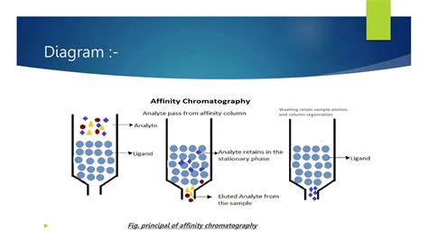 Affinity Chromatography Principle Instrumentation Ppt