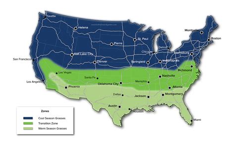 Grass Seed Types By State Essential Home And Garden