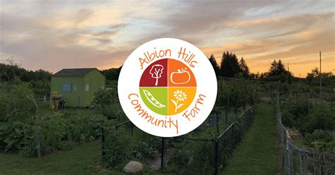 board  directors albion hills community farm