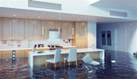 Advantages Of Hiring Water Damage Company Ec Cosmo Home