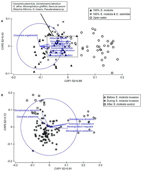 Canonical analysis of principal coordinate (CAP) ordination bi-plot ...