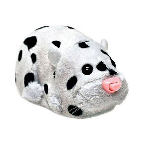 Dalmatian Hamster