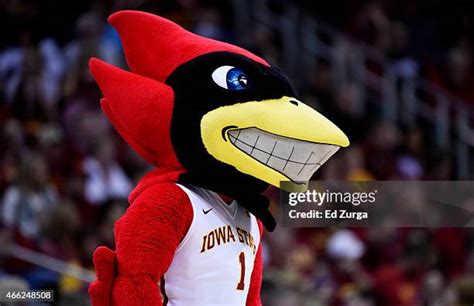 341 Iowa State Cyclones Mascot Stock Photos, High-Res Pictures, and Images - Getty Images