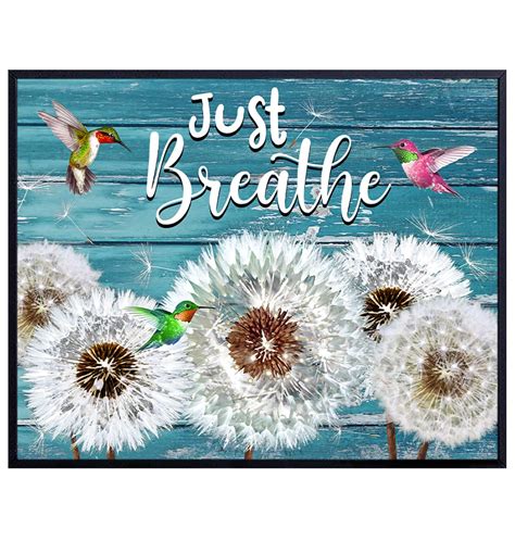 Amazon Just Breathe Wall Art Hummingbird Wall Decor Dandelion