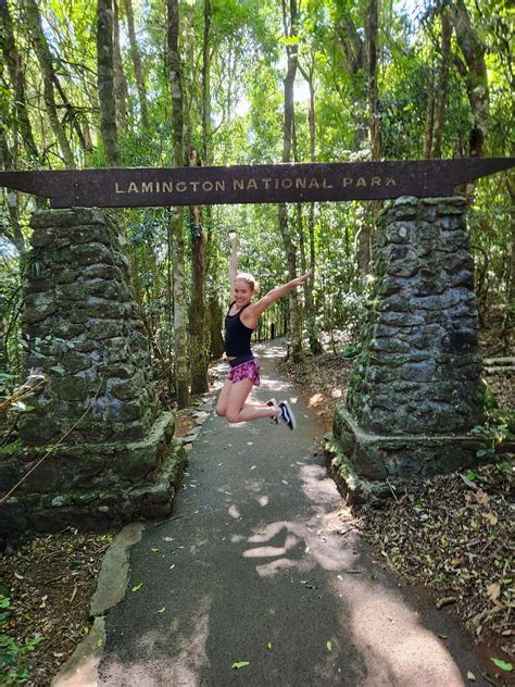 Explore A Waterfall Wonderland In Lamington National Park — A Sunnier Life