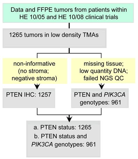 Opposite Prognostic Impact Of Single Pten Loss And Pik3ca Mutations In