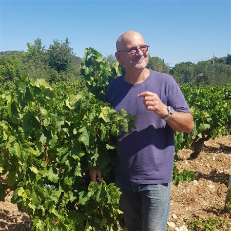 Domaine De L Anglore Vins Du Rh Ne Tavel La Pang E