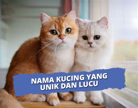 Nama-nama Kucing Jantan dan Betina yang Lucu & Unik