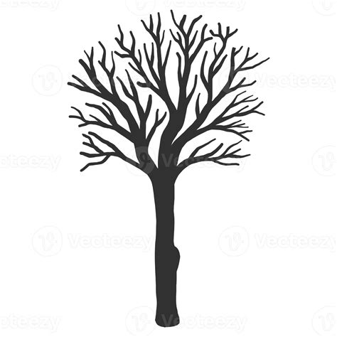 Hand Drawn Naked Tree Silhouette Png