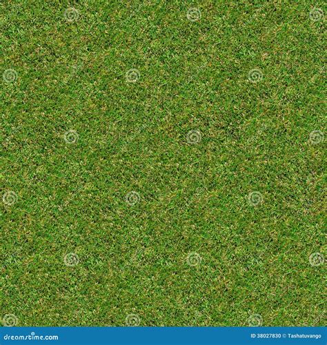 Green Meadow Grass. Seamless Texture. Stock Photo - Image of background ...