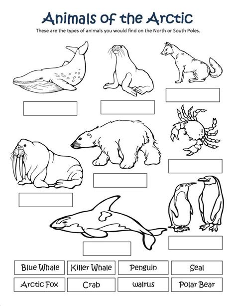 Free Printable Arctic Animal Printables