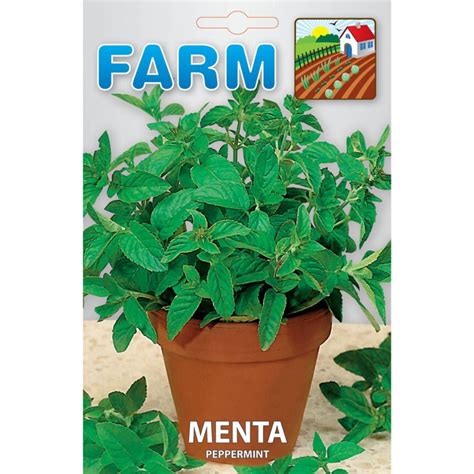 Κορυφαίος Σπόρος Μέντα 2023 | agromanos.gr