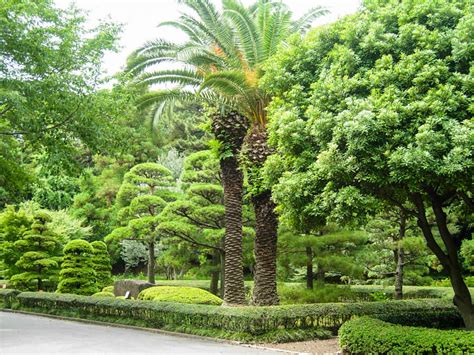 How to Plan Your Tokyo Japan Imperial Palace Gardens Visit