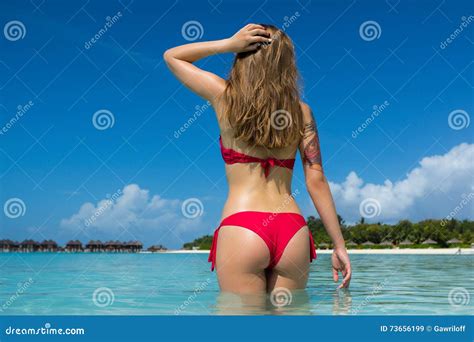 Le Corps De La Belle Femme Dans Le Bikini Sexy Au Dessus Du Fond De Plage Image Stock Image Du