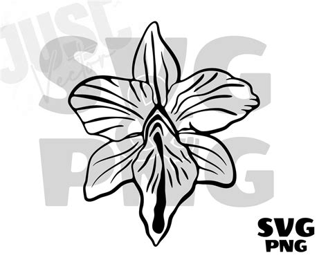 Vagina Svg Pussy Svg Uterus Svg Vagina Silhouette Vulva Svg Female Genitals Erotic Art