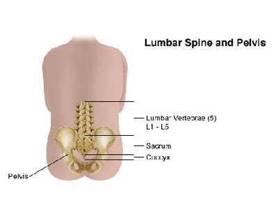 Lumbar Spine Pain