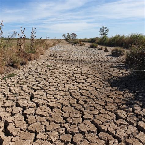 Пересохшая протока в маршах