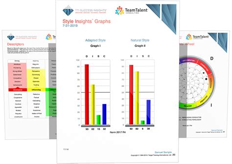 Disc Assessment Reports Online Fast And Easy In The Usa