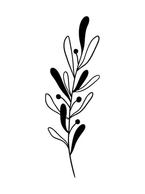 Ilustracja Wektorowa Jemioły Kwiatowy Ręcznie Rysowane Ilex