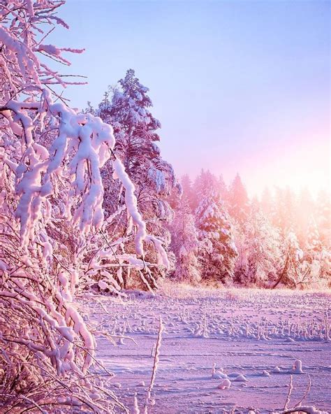 Пин от пользователя Pamela Kabana на доске Winter scenes | Зимние