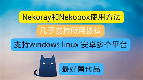 Nekoraynekobox 通杀所有协议节点的科学上网客户端 支持windows Linux 安卓多平台 完美替代clash Youtube