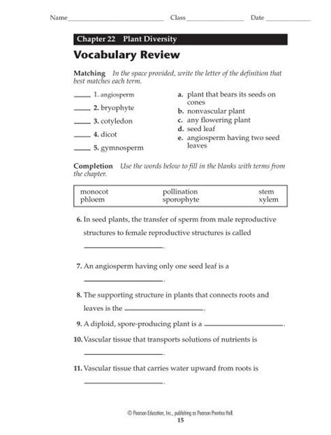 Set Notation Practice Worksheet Sn Answers Pdf Worksheets Library