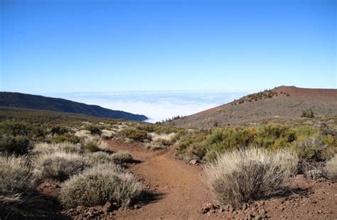 Hike In The Teide National Park In Tenerife Randonner Dans Le Parc