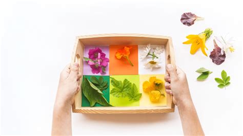 10 Easy and Fun Summer Crafts for Kids