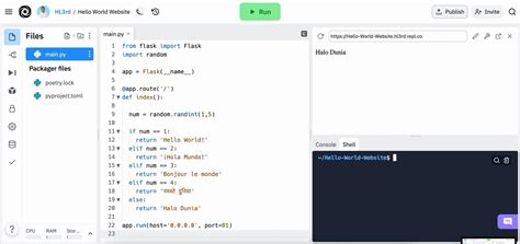 replit     repl noticed