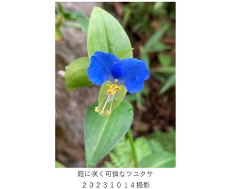 万葉集の世界に飛び込もう―万葉歌碑を訪ねて（その2361）― 万葉集の歌碑めぐり