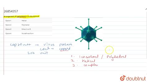 Arrangement of capsomeres is in the form of - YouTube