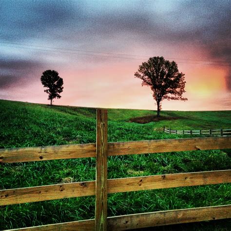 Hermann Breaks Out The Bold Colors Experience Hermann Missouri