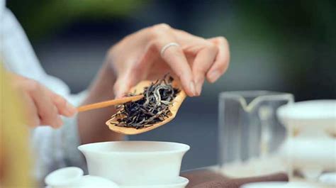 勐库戎氏茶业：“有一种叫云南的生活”是怎样的茶生活？ 爱普茶网最新茶资讯网站