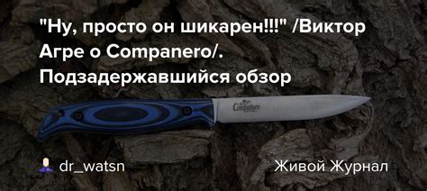 "Ну, просто он шикарен!!!" /Виктор Агре о Companero/. Подзадержавшийся ...