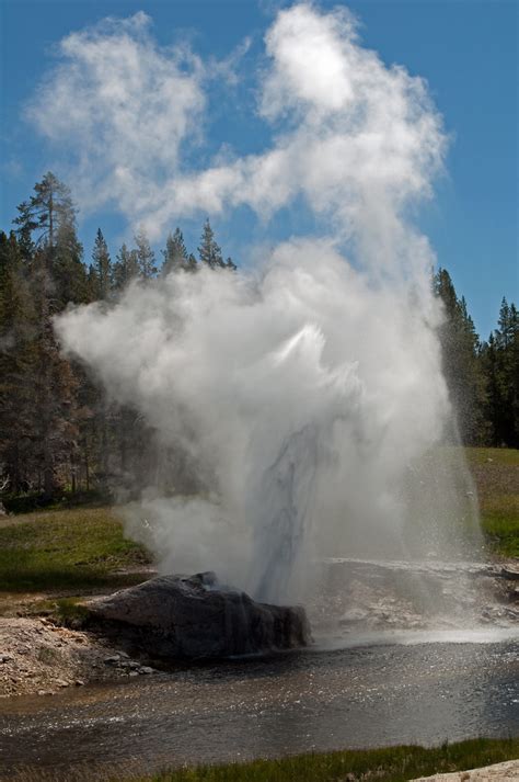 Riverside Geyser Viewing The Eruption Across The Firehole