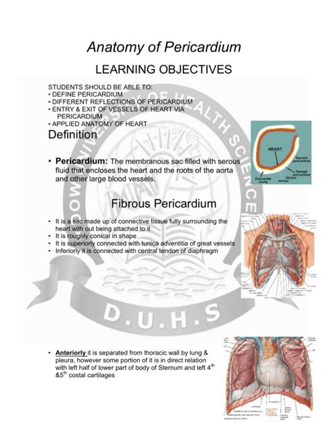 Anatomy of Pericardium